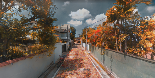 2021-08/autumn-1