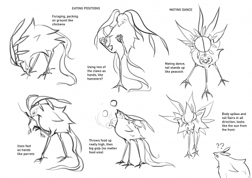 2021-10/1634810568_bird-planning2