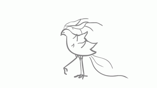 2021-10/bird-walk