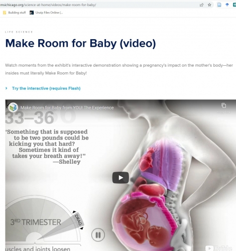 2022-07/make-room-for-baby